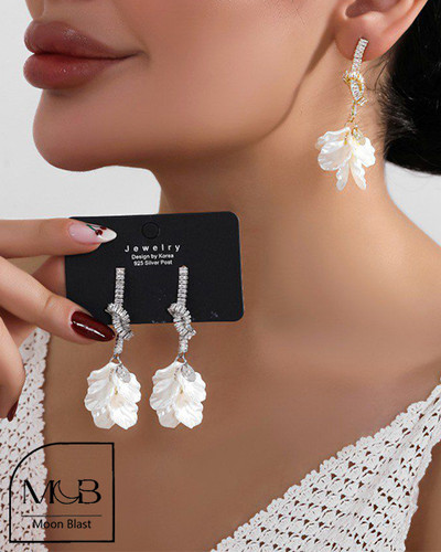 Stainless Steel Earrings Model R1040 – Moonblast