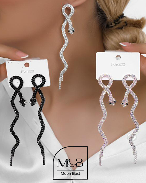 Stainless Steel Earrings Model R1069 – Moonblast