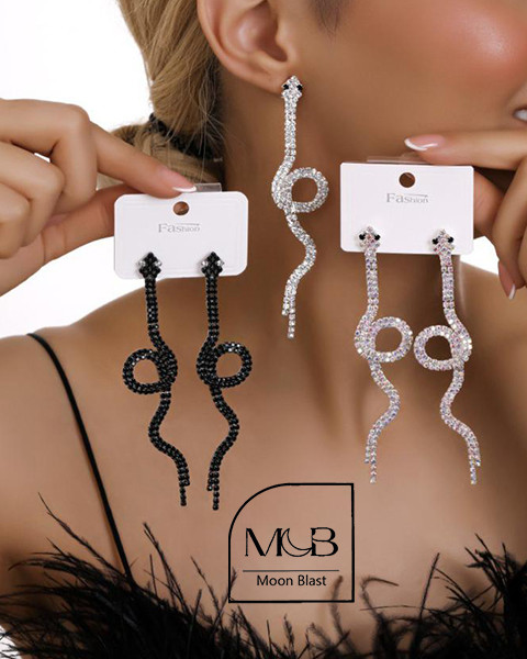 Stainless Steel Earrings Model R1070 – Moonblast
