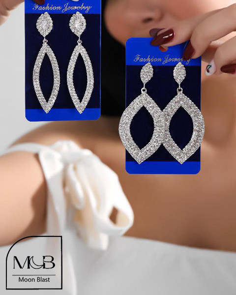 Stainless Steel Earrings Model R1075 – Moonblast